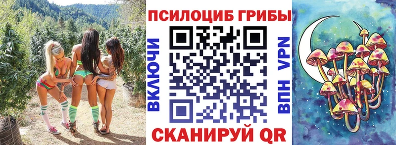 Галлюциногенные грибы Cubensis  блэк спрут как зайти  Кунгур 